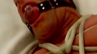 Bondage Babe Struggles And Suffers As Dominatrix Torments Her With Whips