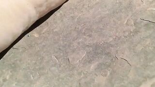 Public Exhibitionism - Bold & Beautiful Blonde Teen Exposes Herself Outside