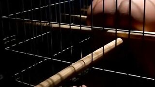 Dominatrix Training - Submissive Male Gets A Lesson In Pain And Pleasure