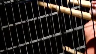 Blindfold Bondage Babe Submissive Slave Gets Naughty with Dominatrix