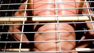 Bondage Submissive's Ball Stretching Ordeal with Dominant Mistress