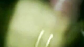 Asian Beauties - Steamy Erotic Encounters