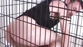 Horny Homos - Scene 2