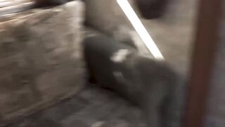 Family Porn Site" xxx-mom Steals Smokes & Gets Ass Fucked By Stepbrother's Friend!