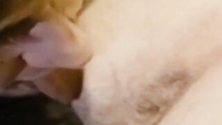 Vintage Cowboy Bros Raw Fuck Hardcore Action