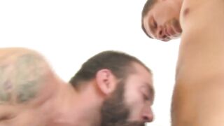 Hairy Bear's Ass Fucked Deeply By Hunk With Massive Dick