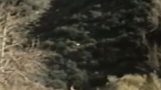 Rivers Edge - Bare Back Threesome with Older Men & barely legal Twinks