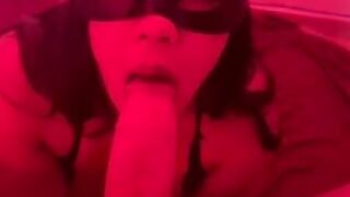 Bunny eats a long carrot