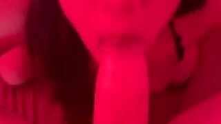 Bunny eats a long carrot