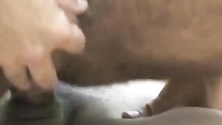 Brazil Butt Babes - Group Orgy with Rough Anal Play