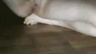 Russian Hottie's Home-Made Debut - Live Cam Show