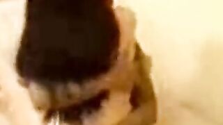 Chubby MILF Rides A Huge Dick In Exotic Indonesia