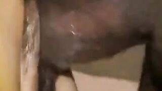Asian Hairys - Exotic Beauties Fucked Hard By A Black Stud