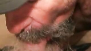 Mature Bear's Passionate Blowjob Session