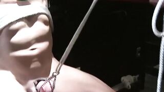 Bondaged Babe Fucked Hard By Dominant Stud - PornPros
