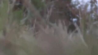 Asia Outdoor Orgy - Wet Panties & Sticky Loads