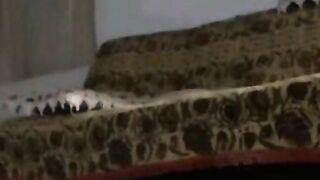 Indian Bombshell Diva - Sensual Erotic Dance & Striptease with Sex Toys