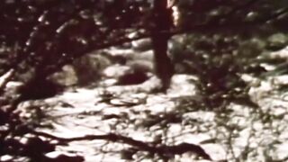 Hairy Bear Bottom Rides Jock Stud in Raw Anal Sex
