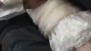 Hot Bus Ride - Overflowing With Desire For A Wild Sex Adventure