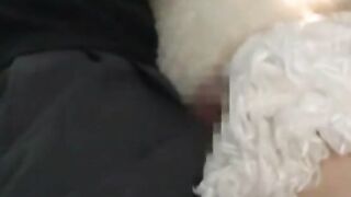 Hot Bus Ride - Overflowing With Desire For A Wild Sex Adventure