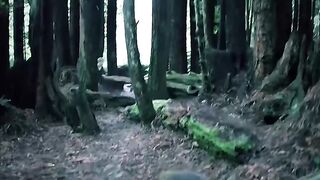 VAMPIRE HUNTERS - Woodland Adventure With A Twist Of
