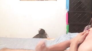 Latinos Uncut - Hunks Raw Hardcore Action