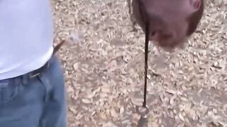 Bondage Suspension with Naughty Teen Slut - Old Man Fucks women in Rope Play