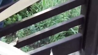 Asian Cutie's Desperate Pee Fetish - Bound & Drenched