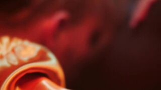 Stunning Beauties Share Their Husbands In A Wild Orgasmic Foursome
