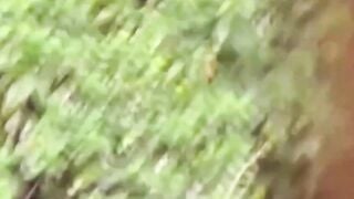 Exclusive Footage - Oblivion School Girls #1 (Japanese Subtitled)", tags: jav-college girl, amateur, first-time, teenagers, barely legal, small-boobs, natural-breasts