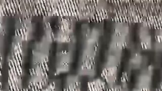 Bare Back Bangers - Raw Amateur Couple Fucked Hardcore
