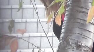 Asian Cutie Faces Peeing Outdoor Adventure