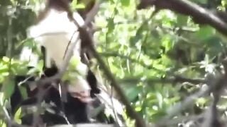 Peeping Tom's Paradise - School Girls Peeing in Public