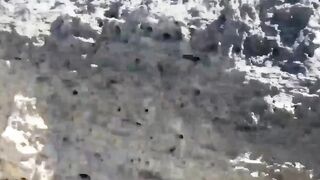 Amateur Couple Sucking Each Other Dry - PornPros