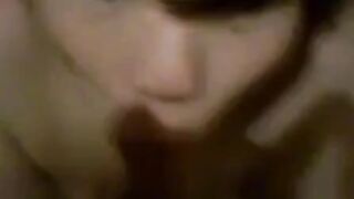Japanese Amateur Adult Video with Blowjob and Titillating Moments