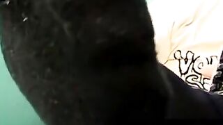 Blond twink Colby Bonds strokes till his cum erupts hard
