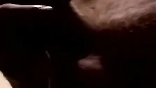 JoeSchmoeXXX.com - Real amateur homo gets a blowjob until exploding a cumload