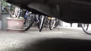 These thong removing Japanese babes unleash full stream all over town
