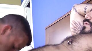 Hairy pierced stud milked dry after sloppy blowjob