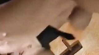Jenny smakar kuk för sina svenska fans