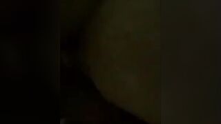 Vår första amatörsvenska hundstil
