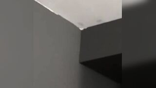 BoyObsession.com - Adorable Timo Garrett's dick blowing and mutual banging