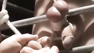MuscleJockBound.com - Master Franco Dax torments sub with twisted play