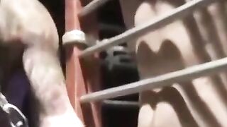 MuscleJockBound.com - Chet Walker suffers heavy chain tugging his meat