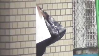 Japanese girls lose control peeing in public restroom stalls