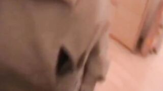 German Blonde Amateur Swallows Cum