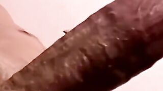 Young gays jerk off as old homos service their cocks