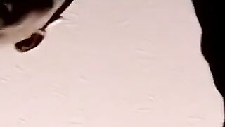 Young homo sucks dick then begs for raw anal