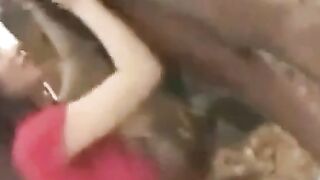 African-Japanese Interracial Amateur Sex Tape