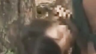 African-Japanese Interracial Amateur Sex Tape